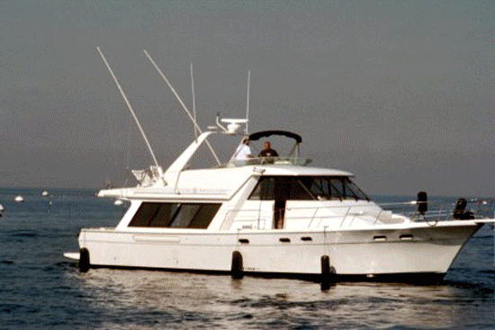 Catalina 2002